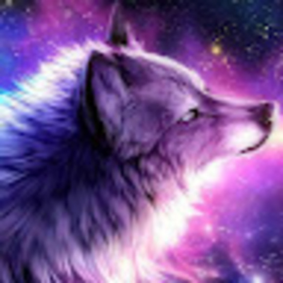 Meet your Posher, Kayla-jade - Picture 1 of 1